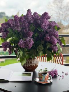Kvirike Guesthouse - 3