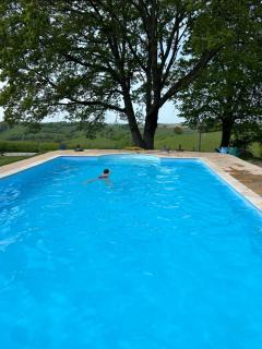 Le Manoir aux Volets Verts with Heated Pool and Hot Tub - 7