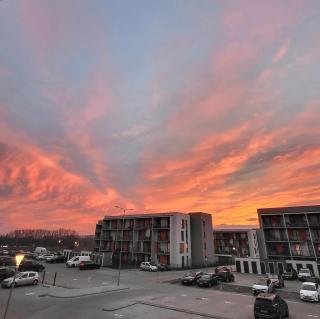 Baltic Sand & Oak Apartment - Free Parking & Self Check-in - 7
