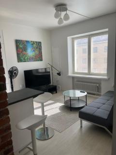 Stylish One-Bedroom Apartment Near Helsinki Centrum - 4