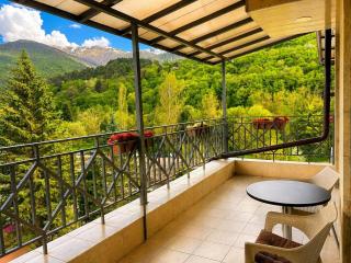 Riverside Penthouse in Dilijan - 9