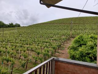 Wine e relax Thea - 3