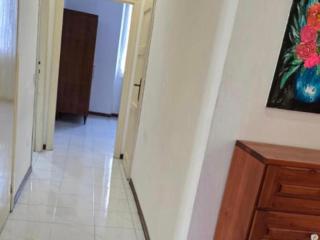 Mimì alle Magnolie - Cozy Apartment in Perugia - 5