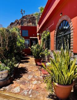 Magical Garden Retreat by the Sea - 8