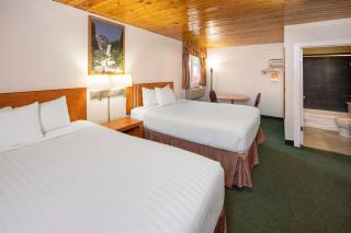 Econo Lodge Inn & Suites - 1