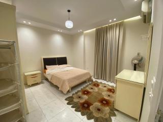 Luxurious Large Apartment with Modern Design in Nasr City - 1