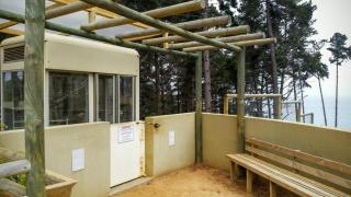 Algarrobo, Canelillo Pine Forests - 8