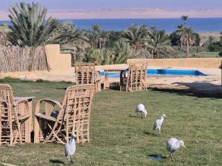 Tunis Village Lake View Cabins - 8