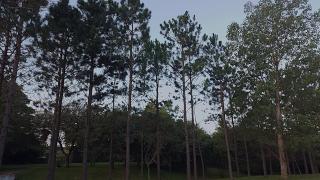Rancho Suite Tiny House en Campo Los Pinares - 1