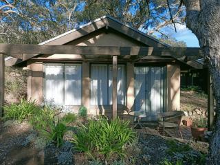 Macedon Ranges Glamping with kangaroos - Studio - 1