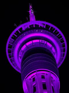 High Floor Modern 2 Bedroom Apt opposite Skytower - Auckland - 8
