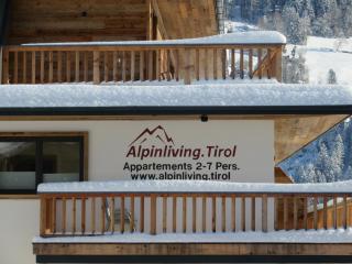 Alpinliving.Tirol - Aschau - 3