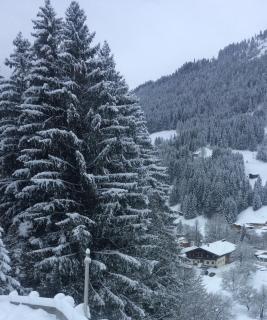 Pension Obwiesen - Kirchberg in Tirol - 7