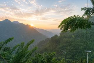 Ella Nimal Nest Inn - 6