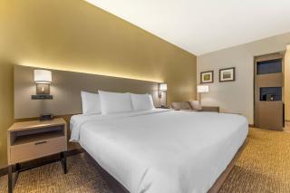 Comfort Suites Pittsburgh Airport - 4