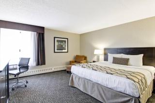 Radisson Hotel & Conference Centre Edmonton - 7