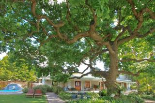 Montagu Vines Guesthouse - Montagu - 8