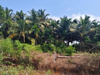 Bliss Inn Cottages Gokarna - 7