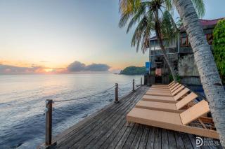 Paradise Palm Beach Bungalows and Dive Center - 3