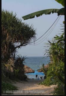 Vibes Beach Home - An Bang Beach Hoi An - 8