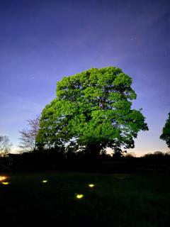 Maesbury Meadows - 3