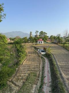 Manohar Home Stay Manali Highway - 6