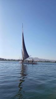 Felucca sailing boat - 3