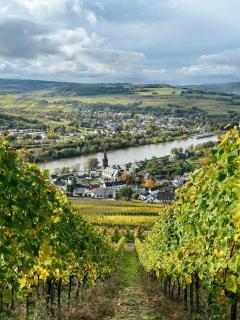 Mosel-Cottage - 1