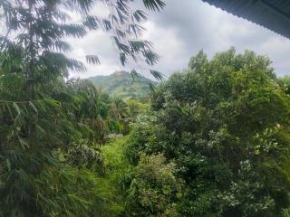 Friendship Villa-Ella - 6