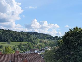 Kirchberg ACHT Ferienwohnung Wald-Michelbach - 8