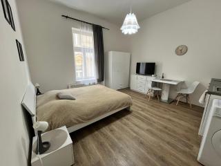 Cozy Apartment in the Heart of Prague - Prague - 8