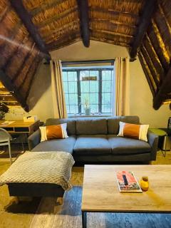 Charming Pet-Friendly Apartment in Cape Winelands - 3