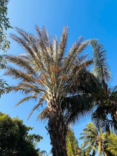 Chez Laicia - 4