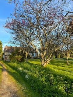 Maison Charentaise Familiale - 8