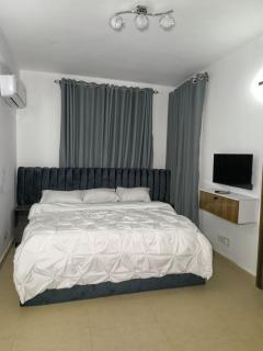 luxurious and cozy 3 bedrooms duplex - 2