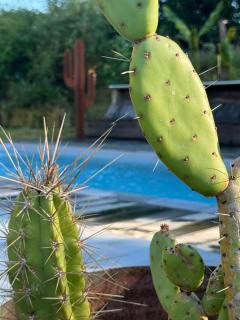Maison Cactus - Piscine chauffée, terrasse & brasero - 3