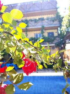 "ISR" Guest House - 8