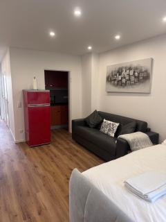 Modern studio apartment in Saarbrücken with kitchen and bathroom - 3