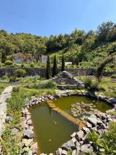 Lepota guest house - 5