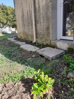 Les Jasmins - 2