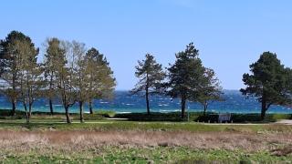 Ferienhaus am Strand - 8