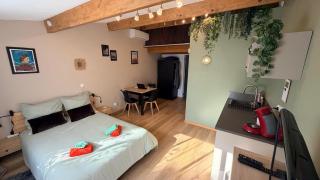 Studio avec jardin privé et parking gratuit - 9