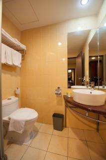 Gaya Centre Hotel - 6