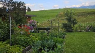 Ferienwohnung Riedbachgarten - Hörnerbergbahnen im Sommer kostenlos - 5