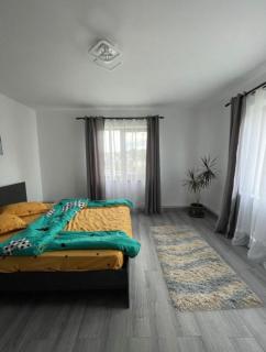 Casa Pietrele Doamnei Garden Apartment - 7