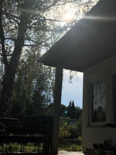 Ferienbungalow mit Hochbett und Terrasse am Zeulenrodaer Meer - 7