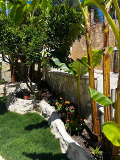 Bougainvillea Garden - 7