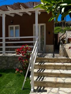 Bougainvillea Garden - 8
