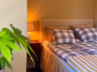Guest apartment in the castle - 1