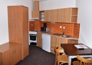 Apartmány U Gigantu - Plzeň - 7